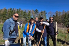 Tree Planting