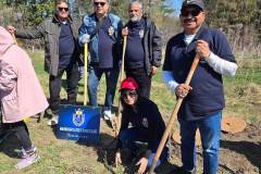 MELions_TreePlanting_2025