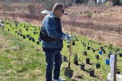treeplanting_2026