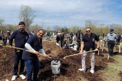 Tree Planting