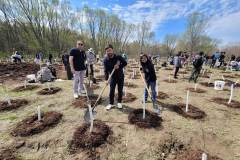 10000trees