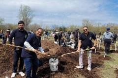 Treeplanting2026