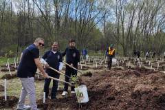 Treeplanting_2026