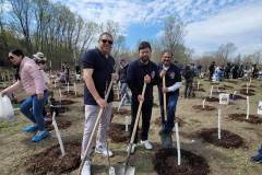 treeplanting_10000