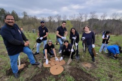 Tree Planting